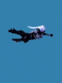 Ghost Widow Emote Flypose4.gif